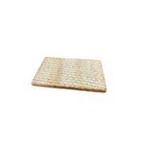 Plokštelė vakuumo siurblio 350L PP05109 4,80X45X119MM