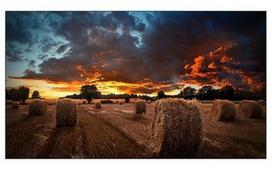 Samsung | VM55B-U | 55 " | Landscape/Portrait | 24/7 | N/A | 500 cd/m² | 8 ms | 178 ° | 178 °
