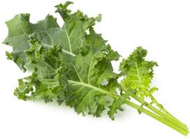 Click  and  Grow Smart Garden Refill Green Kale 3pcs