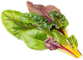 Click  and  Grow Smart Garden Refill Rainbow Chard 3pcs