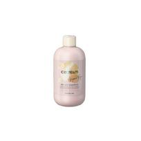 Šampūnas Inebrya Ice Cream Argan Age Shampoo ICE26329, su argano aliejumi, 300 ml