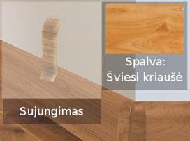 Grindjuostė termoplasto Vox, (24) šviesi kriaušė | Sujungimas SMART FLEX / IZZI