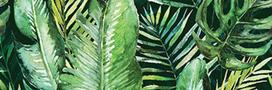 Keraminės sienų plytelės BRAGA TROPIC A INSERTO, 25 x 75 cm