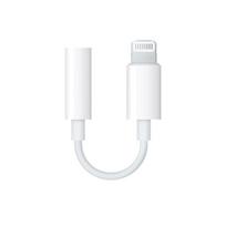 Laidas adapteris Lightning-3.5, 10 cm, BP