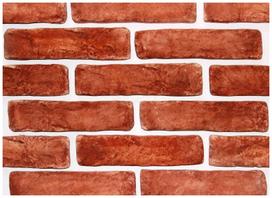 Dekoratyvinis akmuo DEMONTA 160C0322,19 x 20 cm, 0,49 m2/dėž