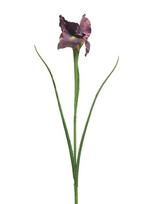 Dirbtinis augalas Irisas, violetinės sp., 60 cm