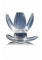 Tuščiaviduris išsiplečiantis analinis kaištis ,,Clawed Expanding Clear Dilator''