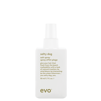 evo salty dog mini paplūdymio tekstūros purškalas