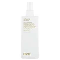 evo salty dog paplūdymio tekstūros purškalas