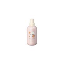 Purškiama priemonė nepakluniems plaukams Inebrya Ice Cream Argan Age Anti-Frizz Spray ICE26335, su argano aliejumi, 100 ml