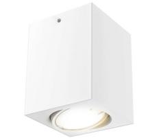 Briloner 7120-016 - LED Akcentinis šviestuvas TUBE 1xGU10/5W/230V kampuotas