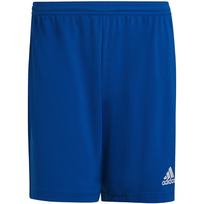 Vyriški Šortai Adidas Entrada 22 Mėlyni HG6294