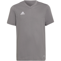 Vaikiški Marškinėliai Adidas Entrada Pilka HC0444