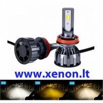 Auto LED 60W Philips LED 3 spalvų komplektas