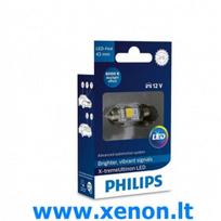 C5W  43MM PHILIPS LED Šaltai Balta