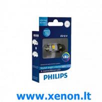 C5W  43MM PHILIPS LED Šiltai Balta