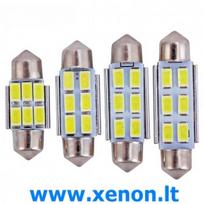 C5W LED  36mm 6LED 2 lemputės