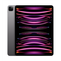 タブレット Apple - 2021 iPad Pro 12.9 Wi-Fi 512GB A2378 12.9インチiPad Pro Wi-Fi 512GB - シルバー（第5世代）[整備済