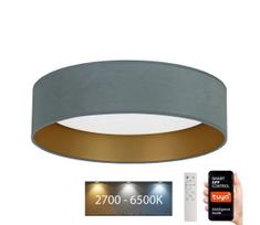 Brilagi - LED Reguliuojamas šviestuvas VELVET SMART LED/24W/230V Wi-Fi Tuya + VP