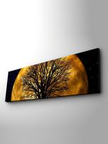 LEDDA LED sienos dekoracija, 30x90 cm