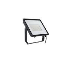 Philips - LED Lauko prožektorius PROJECTLINE LED/100W/230V IP65 4000K