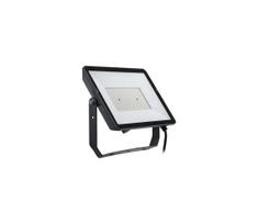 Philips - LED Lauko prožektorius PROJECTLINE LED/150W/230V IP65 4000K