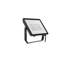 Philips - LED Lauko prožektorius PROJECTLINE LED/150W/230V IP65 3000K