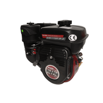 Benzininis variklis WM170F/P-2 (Šlicai)