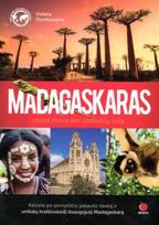 Madagaskaras. Mora mora per stebuklų salą (knyga su defektais) - Violeta Domkuvienė