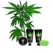 Kūno priežiūros dovanų rinkinys "Green Tea & Hemp Oil" - 4 produktai