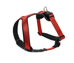 HUNTER NEOPRENE petnešos iš neopreno šunims, L, raudonos