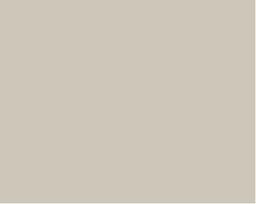 Superior popierinis fonas 2,72x11m Dull Aluminum