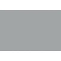 Superior popierinis fonas 2,72x11m Fossil Gray