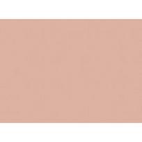 Superior popierinis fonas 2,72x11m Beige