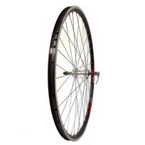 Galinis ratas 28/29" Sunstart, v-brake, 36H, užsukamas žv. blok., QR
