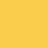 Superior popierinis fonas 2,72x11m Buff