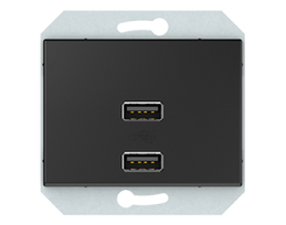 USB maitinimo lizdas QR1000, 2 vietų, 5V DC 3,4 A, antracitas