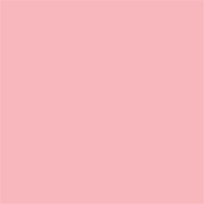 Superior popierinis fonas 2,72x11m Carnation Pink