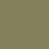 Superior popierinis fonas 2,72x11m Leaf