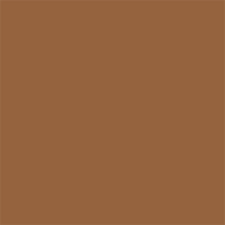 Superior popierinis fonas 2,72x11m Nutmeg