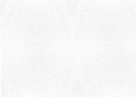 Lubų plokštė AMF PLAIN (Schlicht), mineralinė, THERMATEX, KNAUF
