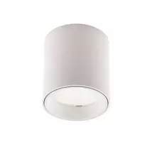 Lubinis LED šviestuvas TUB R