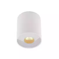 Lubinis LED šviestuvas PLAZMA W IP54