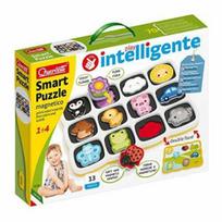 Quercetti Q0231 Magnetinė dėlionė