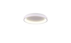 Lubinis LED dimeriuojamas šviestuvas ﻿Omega D58