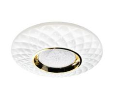 LED Reguliuojamas lubinis šviestuvas TOKYO LED/48W/230V 3000-6000K + VP