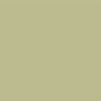 Superior popierinis fonas 1,35x11m Tropical Green