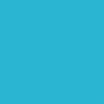 Superior popierinis fonas 1,35x11m Wedgewood