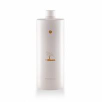 Naturalmente InBloom Lush Moisturizing Mask Drėkinanti plaukų kaukė, 1000ml