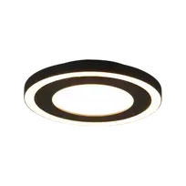 Lubinis LED šviestuvas Carus R20 juodas